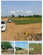 200 Sq-yards Plot Rs. 12 Lakhs 1km Before Chandanvelly Sez