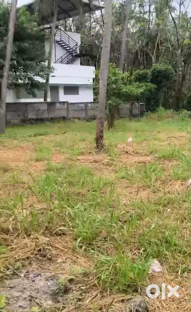 Plot for sale in Kolazhy - Thrissur