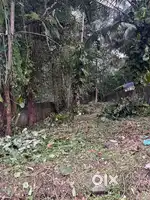 Plot for Sale – 30 Cents  Ideal for Agricultural & Residential Use
