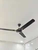 2 Ceiling Fans for sell