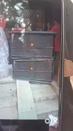 2 bass dual