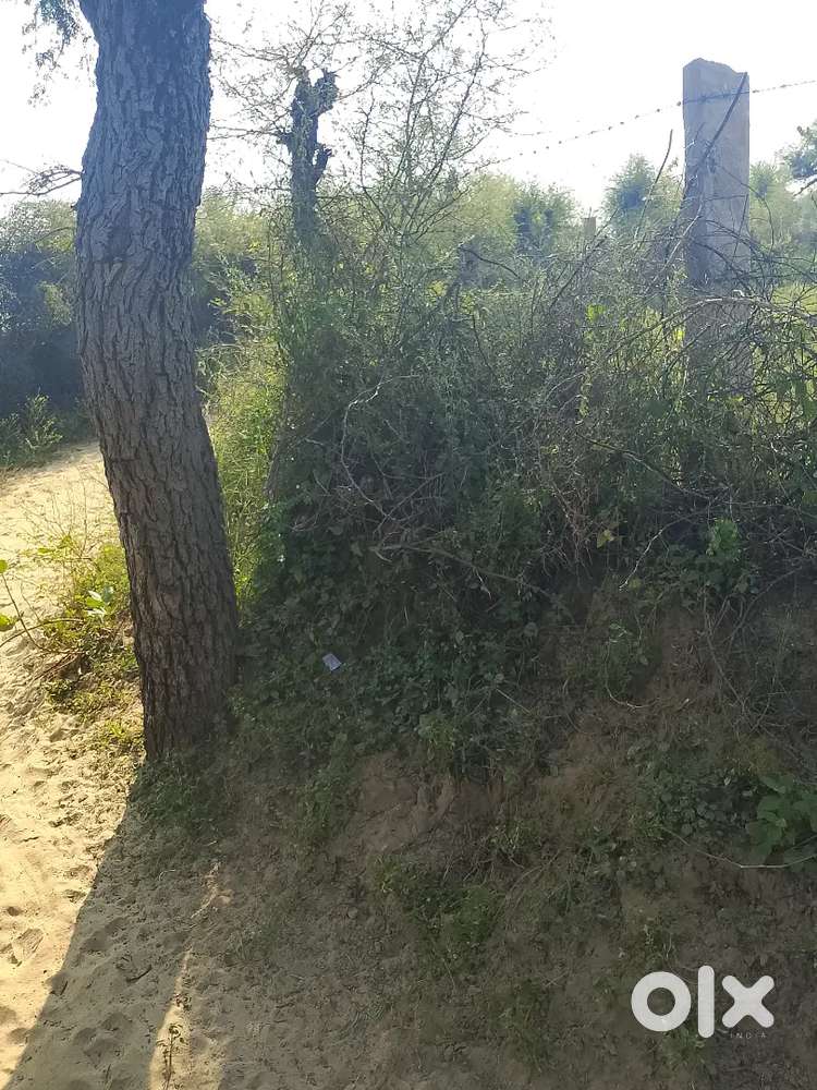 Lakdi lakdi