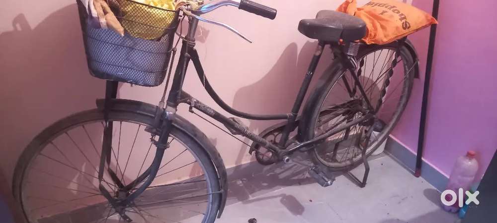 Lady cycle 3500