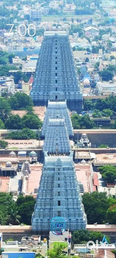 Wanted cab driver 15.dya. S duty  room food free