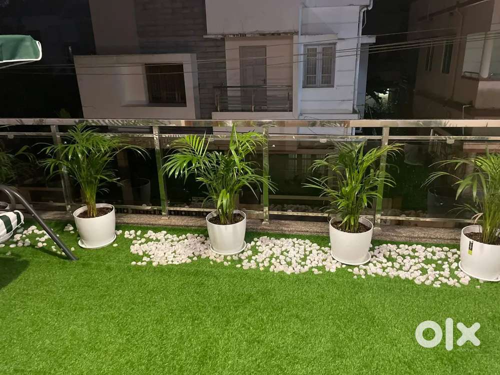 Laxury flat furnished Bejai