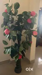 Apple tree for living room decoration