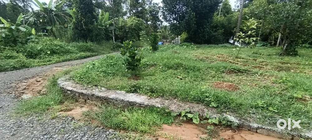 Angamaly elavoor st Mary's Church near by 4,5,8, 10 cent plots