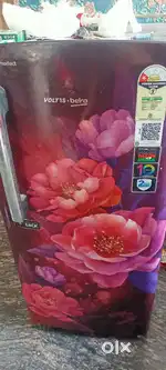 Voltas freeze