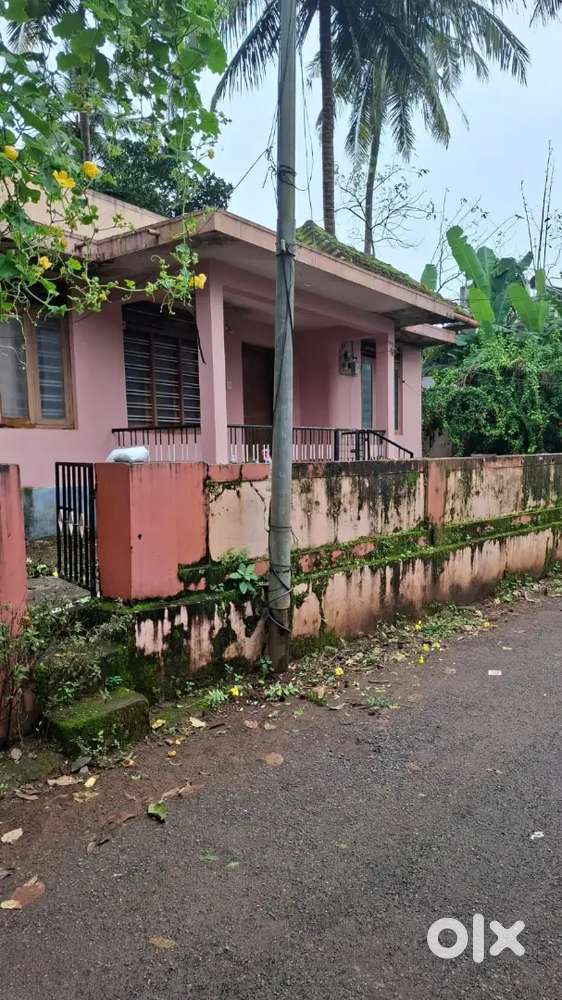 Land for sale near Thana Kannur