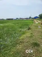 I want to sale my myadi patta land in Tinsukia Ahukhat  Gaon.