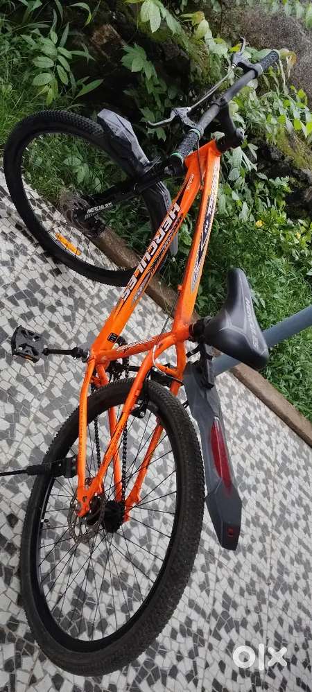 Cycle for sale