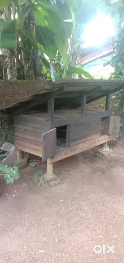 Chicken coop