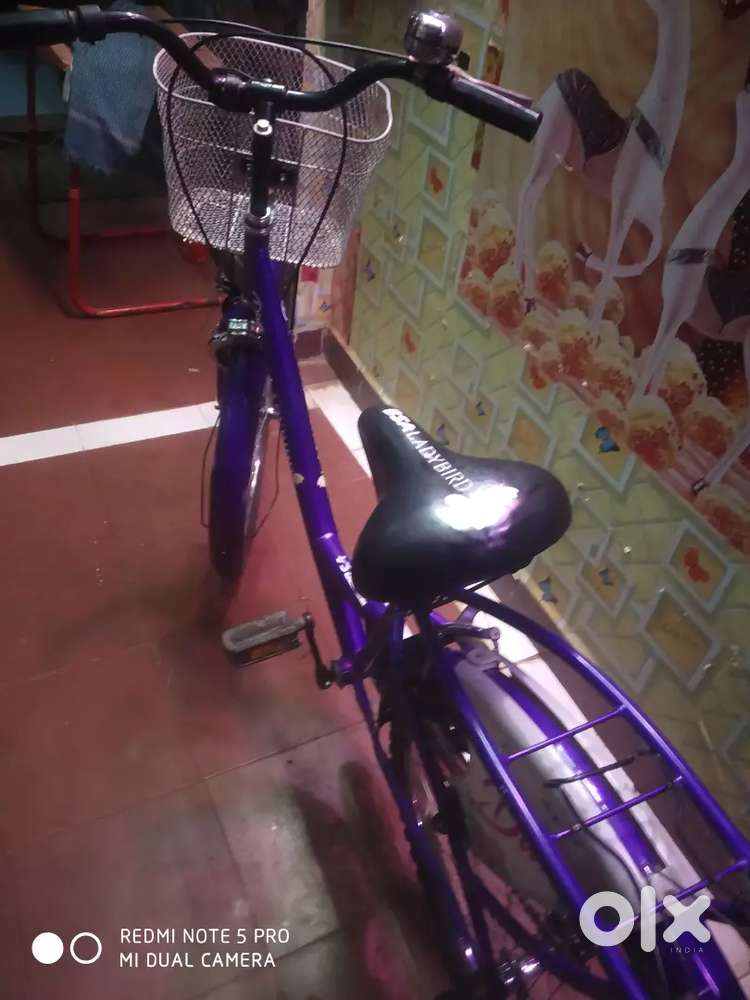 Bi cycle BSA diwa