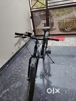 RX 100 cycle