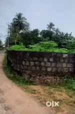 10.25 Sent Plot sale in Near JP Nagar kuttapuzha,,
