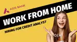 Axis bank provide work from home housewife retirees and busine