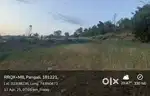 4 kanal land near ring road kot Bhalwal jammu