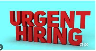 Wanted Tata Ace Driver come Delivery boy & Driver