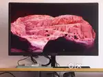 Acer Aopen 24 1080P 144Hz Curved Monitor