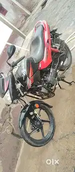 New lena hai