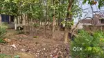 Commercial land for sale