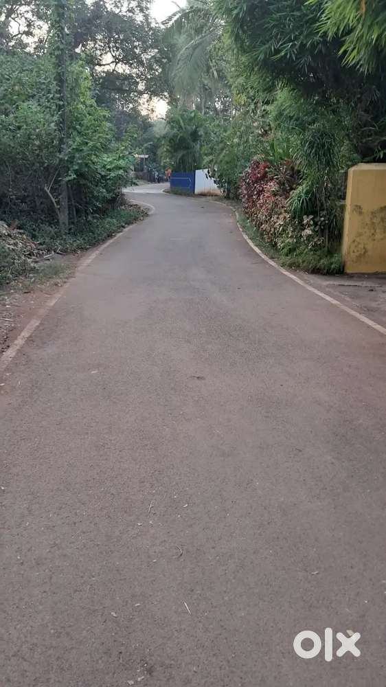 Land for lease/ Rent at Socorro porvorim