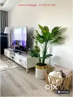 2 BHK - 3 Bathroom Apartment for Rent in Prime Gandhi Nagar