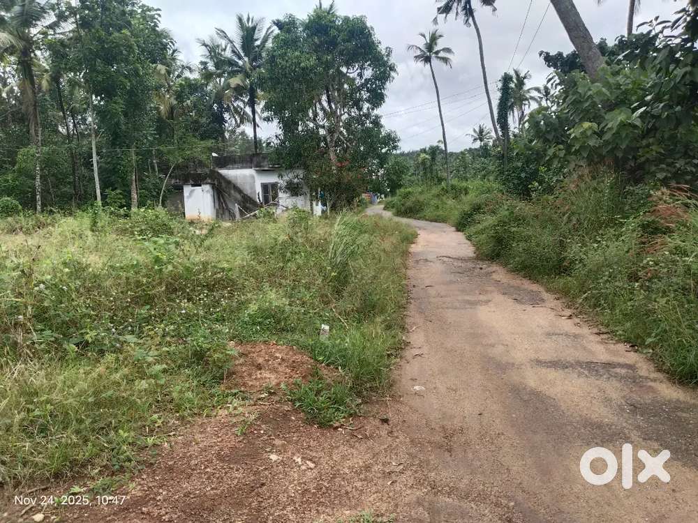 10 സെൻറ് 5 സെൻറ് വില്പനയ്ക്ക് ₹1,00000