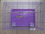 Big bird cage with swing, feeding bowls, clean well maintained