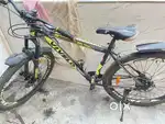 Vivelo cycle