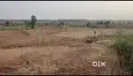11-ACRE PRIME LAND FOR SALE – KHARANGNA (WARDHA-ARVI ROAD)