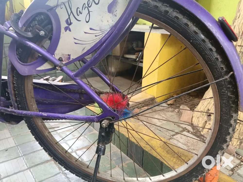 Lady bird cycle