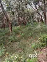 Land with 1 acre rubber