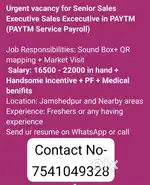 PAYTM SALES EXECUTIVES