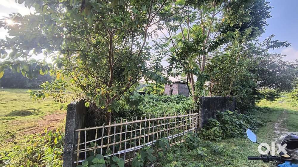 Land for sale urgent