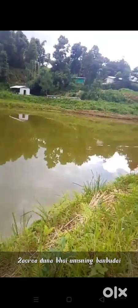 Ki ba don interest tip top ki jaka