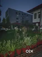 2Bhk independent house in johri goan