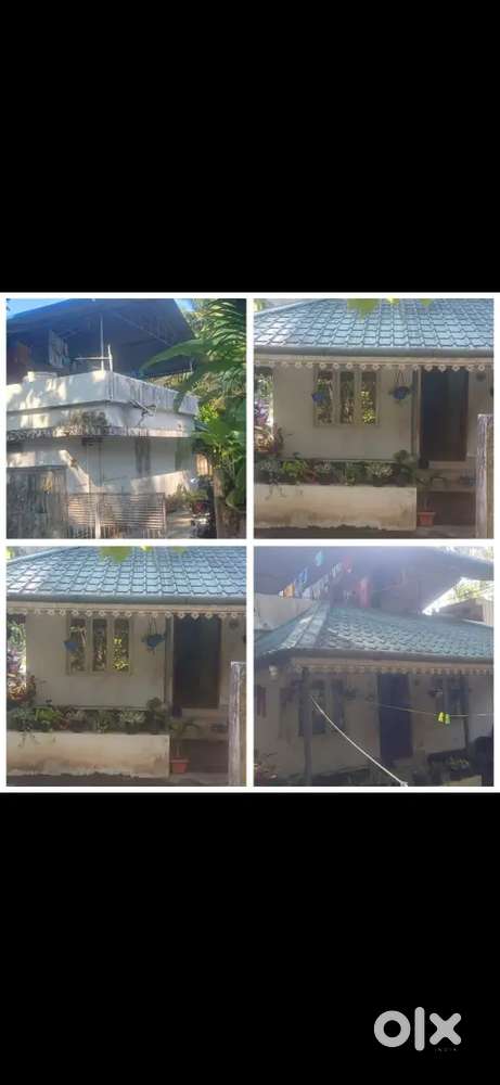 House & 10 cent for sale