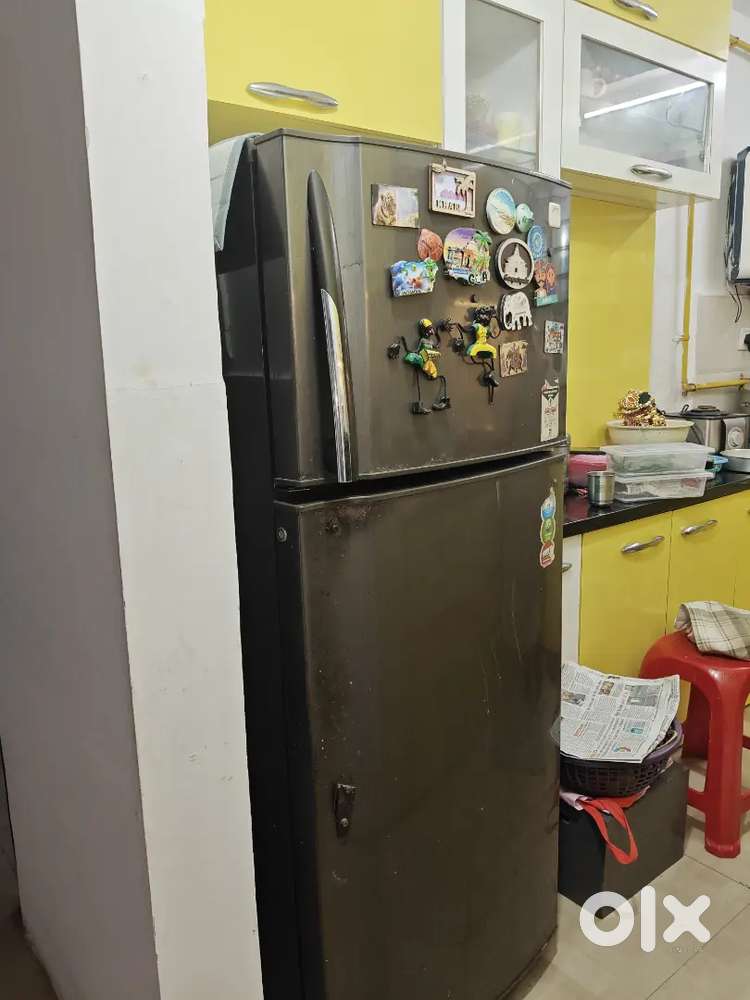 Godrej Eon 260L Frost - Free Double door refrigerator