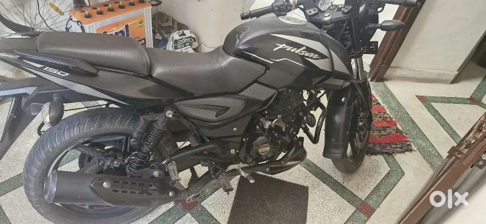 Bajaj pulsar bike ( dec 2023 model )