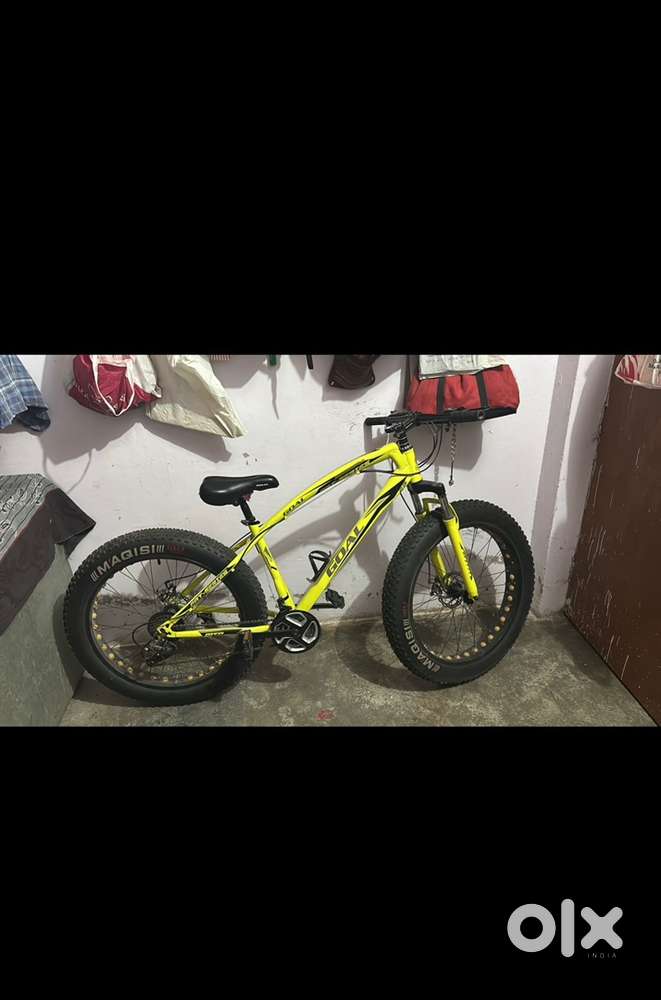 Fat bike cycle