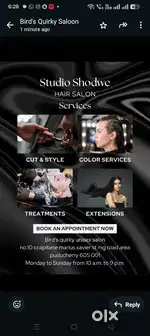 Birds quirky unisex saloon