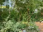 Commercial land
