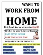 Work From Home job