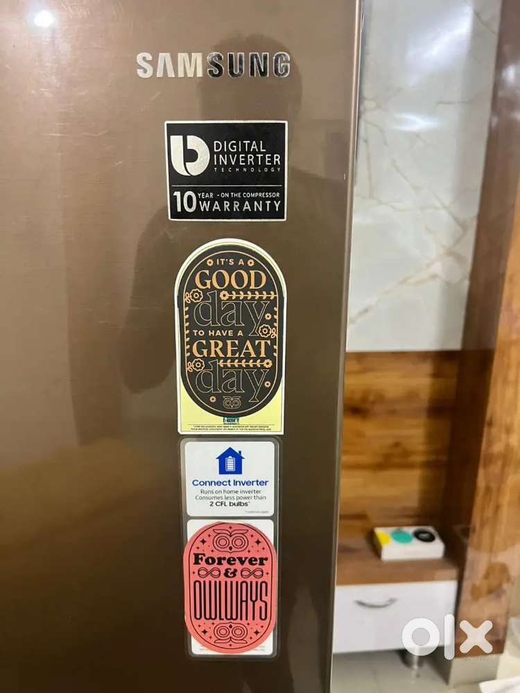 Samsung Inverter Convertible Fridge