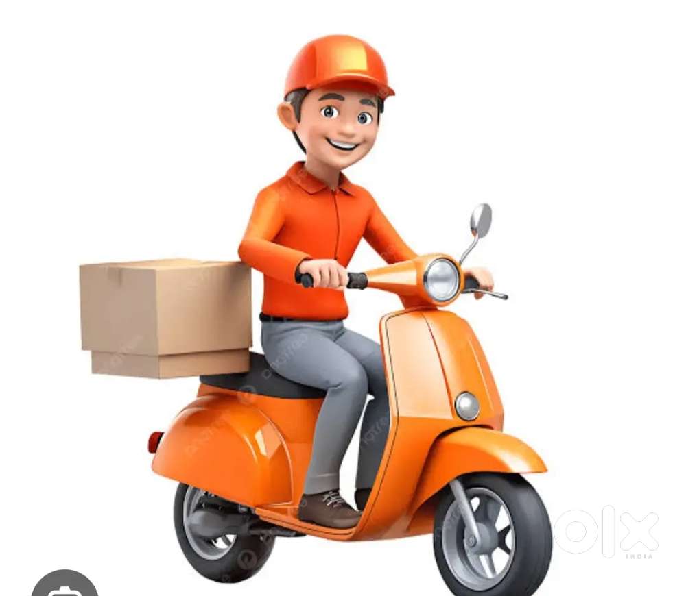 Courier delivery boy