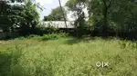15 Cents  land in Alappuzha.