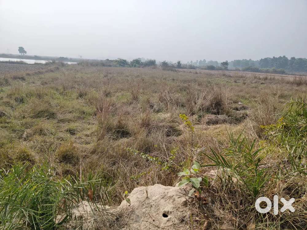 (DIRECT OWNER)INVESTMENT PLOT FOR URGENT SALE ONLY 1,25,000/KATHA