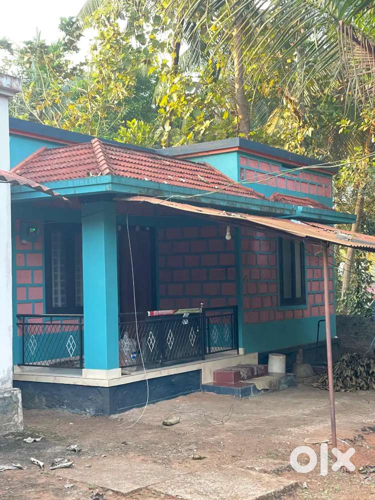 A  hose very neetly house in cherpulassery (kairali nagar)