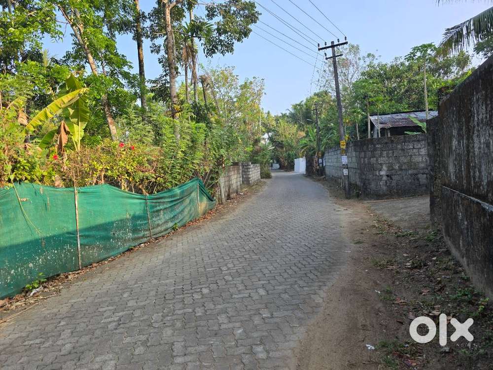 8 Cent Residential Land for Sale – Near Kongorpilly, Karingamthuruth